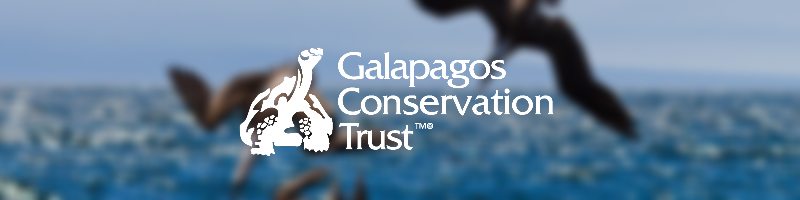 Galapagos Graphics: GCT Banner 