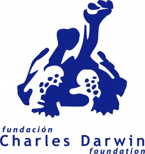 CDF logo 2009©CDF