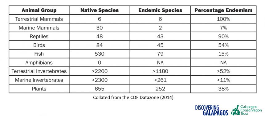Galapagos Graphics: Endemic Species Table © GCT