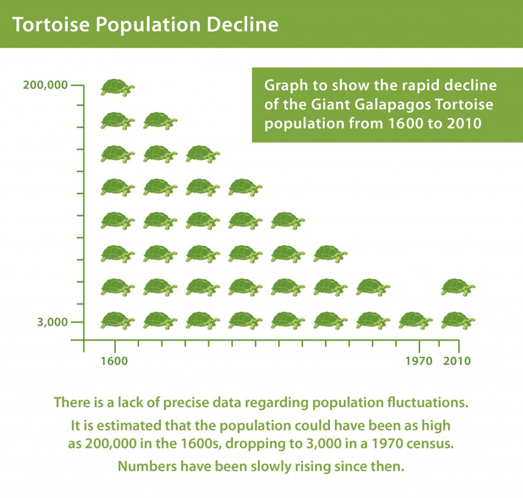 Galapagos Graphics: Declining giant tortoise population graph © Lisa Brown