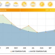 Galapagos Graphics: A graph to show the fluctuations in temperature and rainfall in Galapagos © GalapagosIslands.com