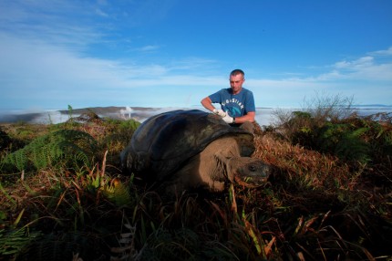 Galapagos People: Dr. Steve Blake tracking a Galapagos giant tortoise © Christian Ziegler